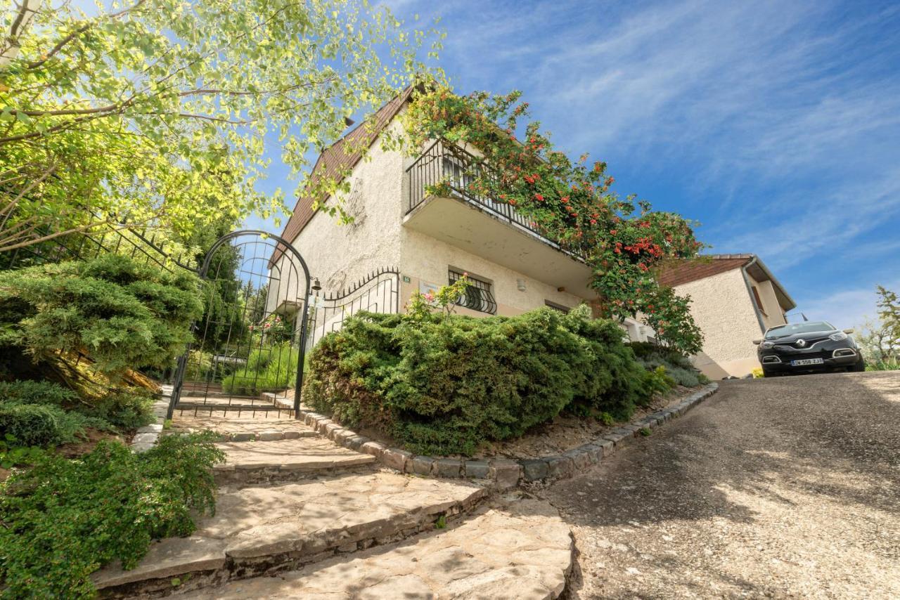 Serenite Aquatique Bed & Breakfast Saint-Cyr-au-Mont-d'Or Exterior photo